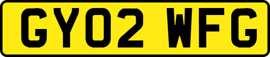 GY02WFG