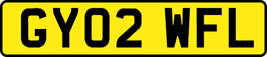GY02WFL