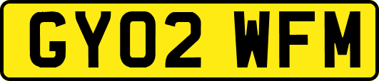 GY02WFM