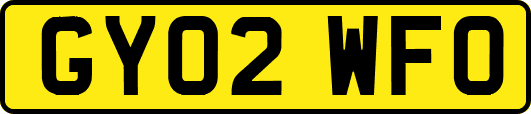 GY02WFO