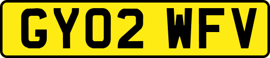 GY02WFV