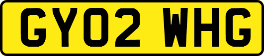 GY02WHG
