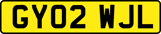 GY02WJL