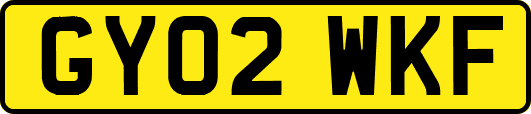 GY02WKF
