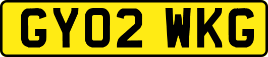 GY02WKG