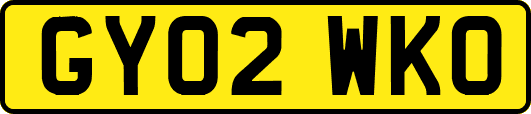 GY02WKO