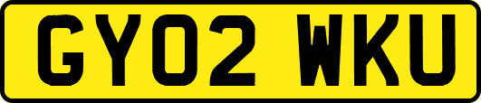 GY02WKU