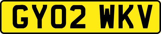 GY02WKV