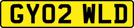 GY02WLD