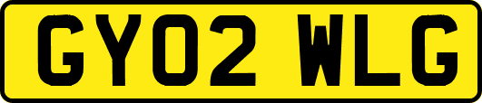 GY02WLG