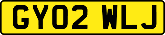 GY02WLJ