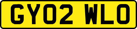 GY02WLO