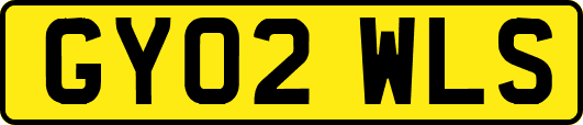 GY02WLS