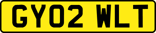 GY02WLT