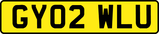 GY02WLU
