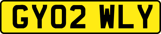 GY02WLY