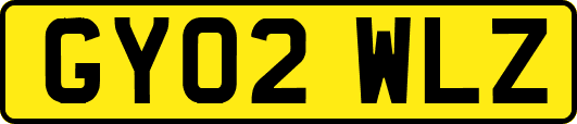 GY02WLZ