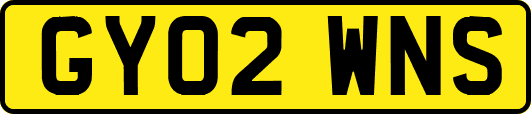 GY02WNS