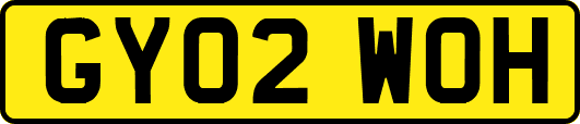 GY02WOH