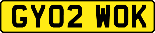 GY02WOK