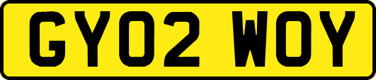 GY02WOY