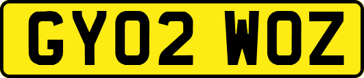 GY02WOZ