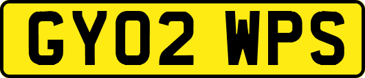 GY02WPS