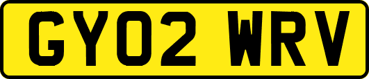 GY02WRV