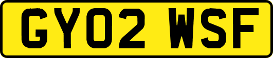 GY02WSF
