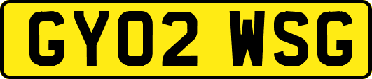 GY02WSG