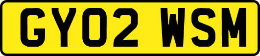 GY02WSM