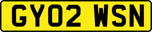 GY02WSN