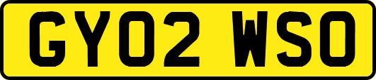 GY02WSO