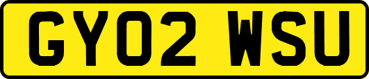 GY02WSU