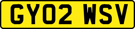 GY02WSV