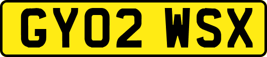 GY02WSX