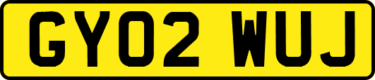 GY02WUJ