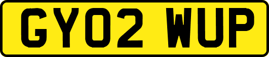 GY02WUP