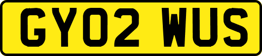 GY02WUS