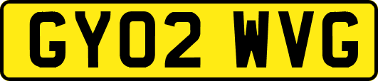 GY02WVG