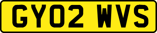 GY02WVS