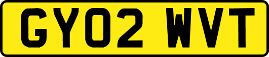 GY02WVT
