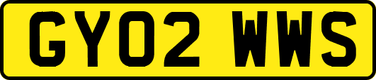 GY02WWS