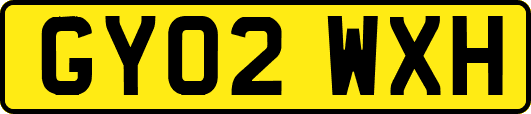 GY02WXH