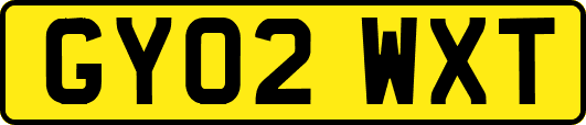 GY02WXT