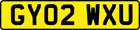 GY02WXU