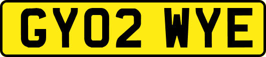 GY02WYE