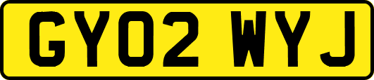 GY02WYJ