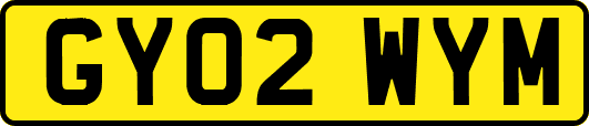 GY02WYM
