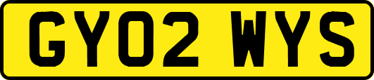 GY02WYS